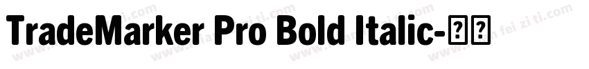 TradeMarker Pro Bold Italic字体转换